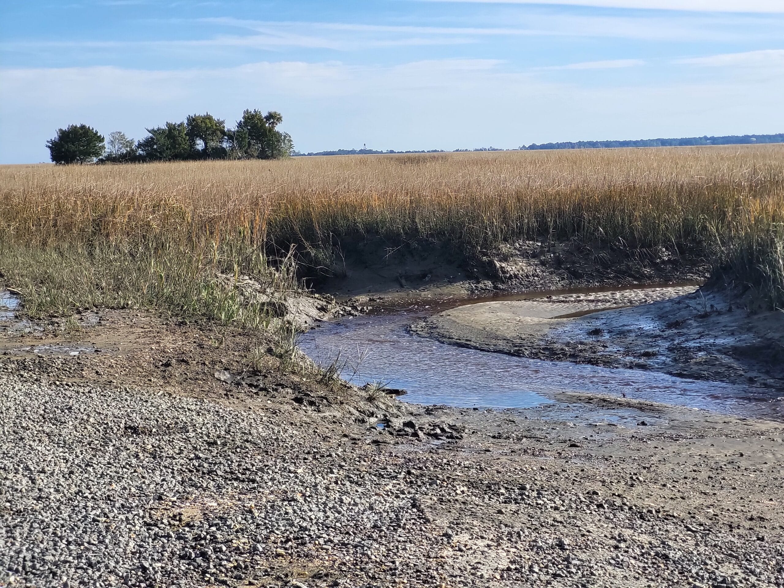 Salt Marsh view of creek draining on low tide