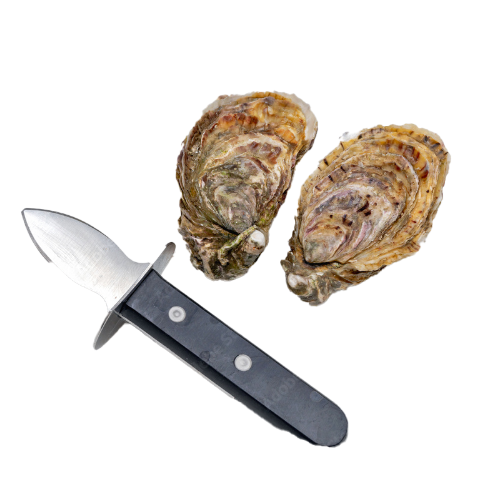 Oyster Shucker