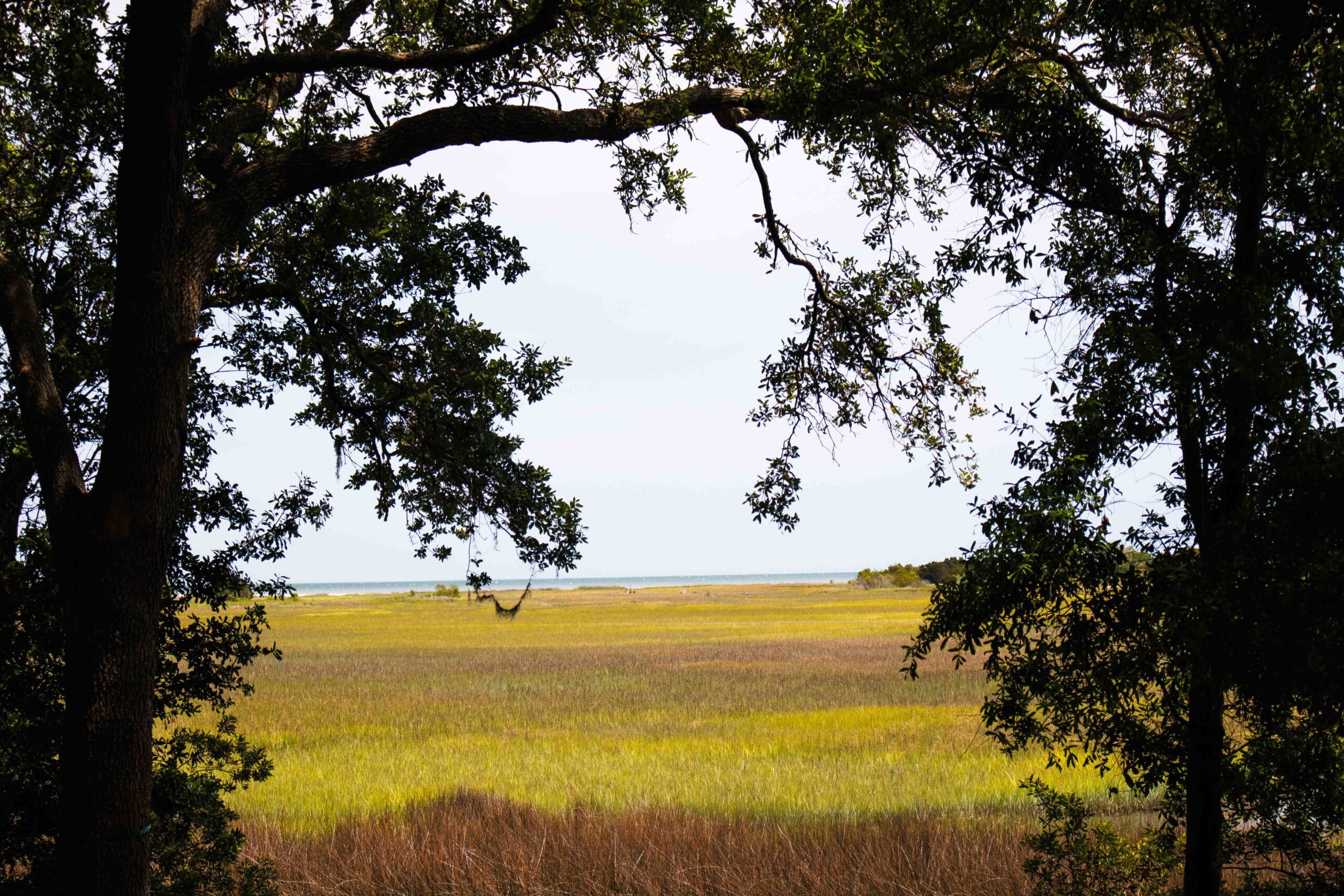 View of Salt Marsh to Atlantic Ocean in Mitchelville Historic Park