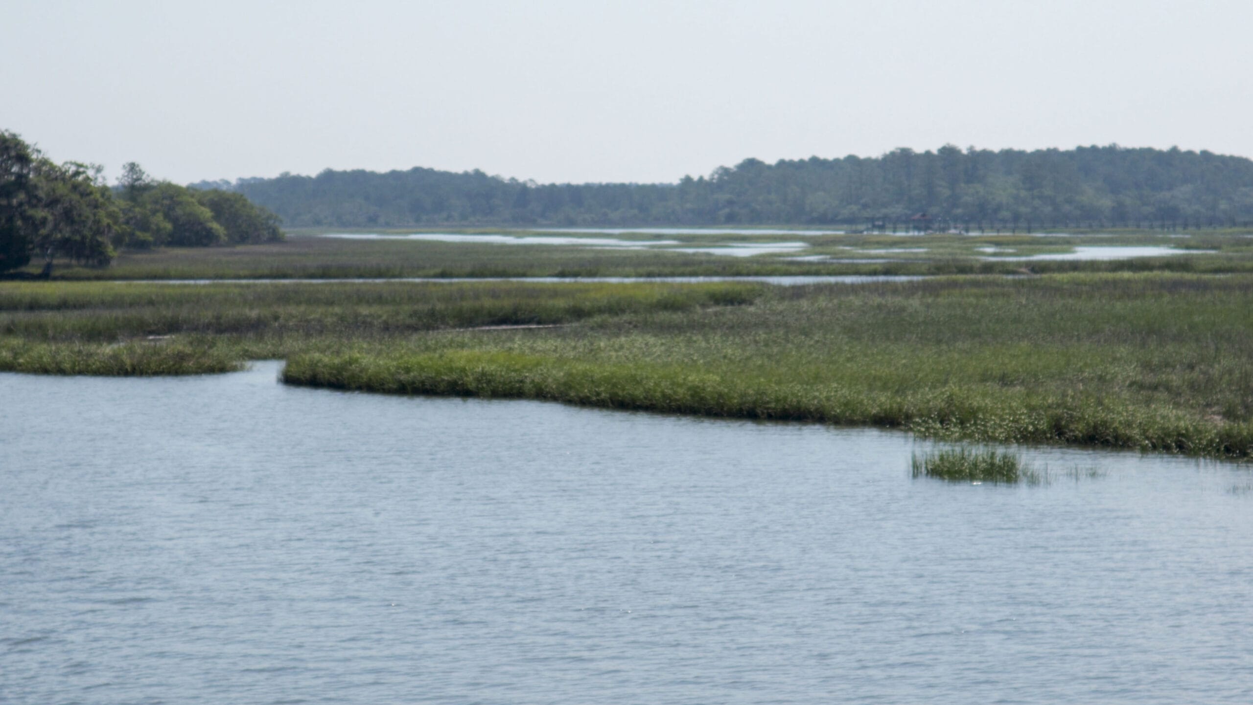 View of water in Salt Marsh