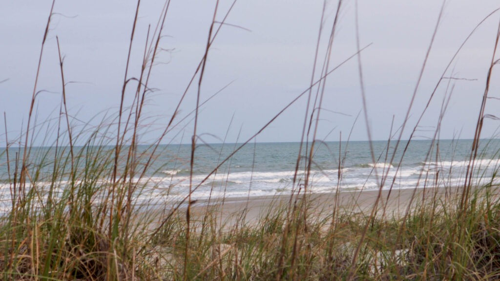 Dune view with beach in the background
