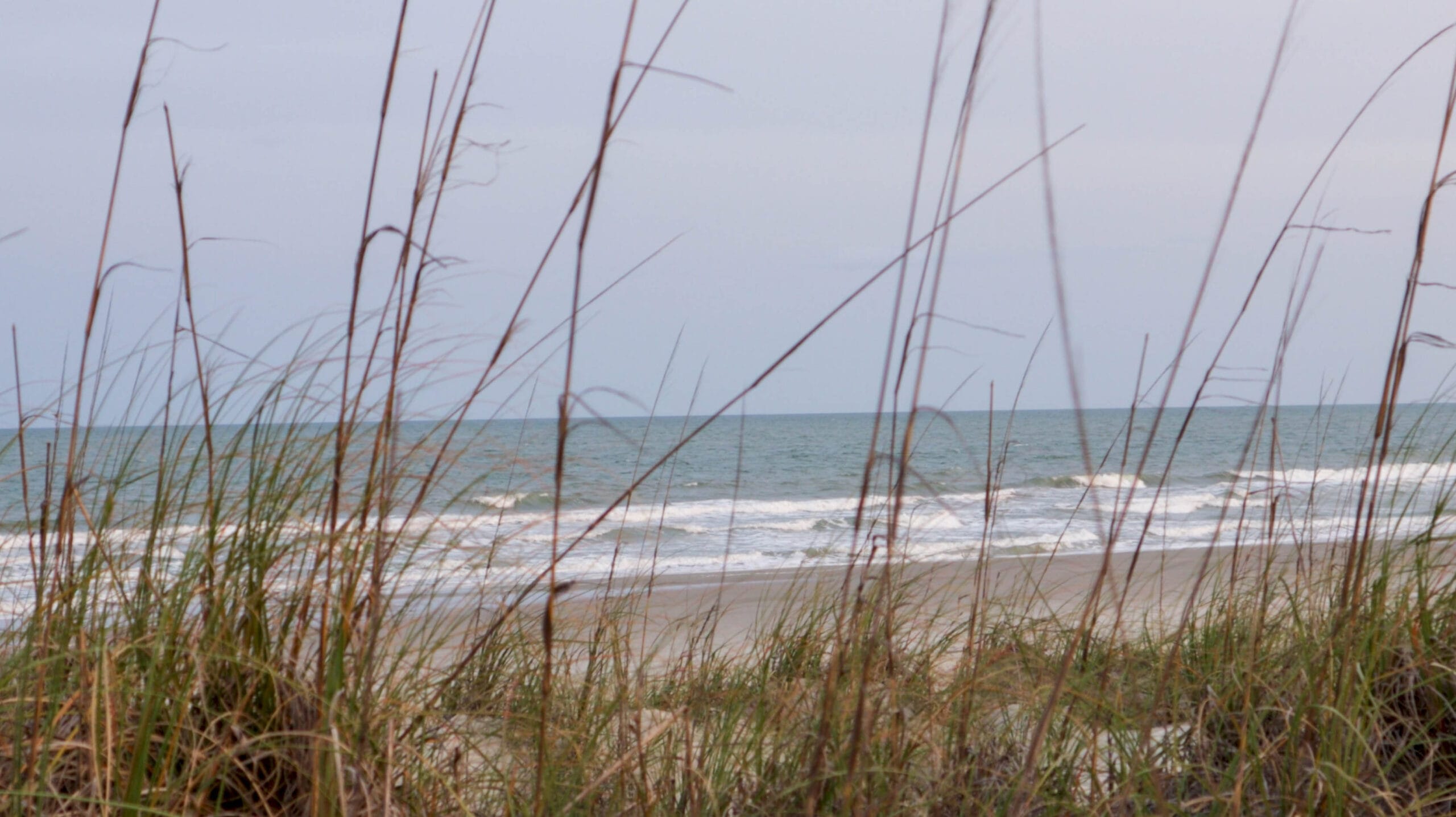 Dune view with beach in the background