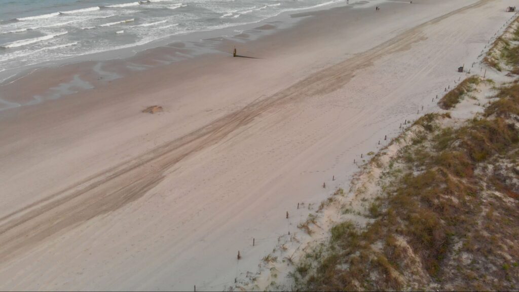 Aerial view of beach and dune