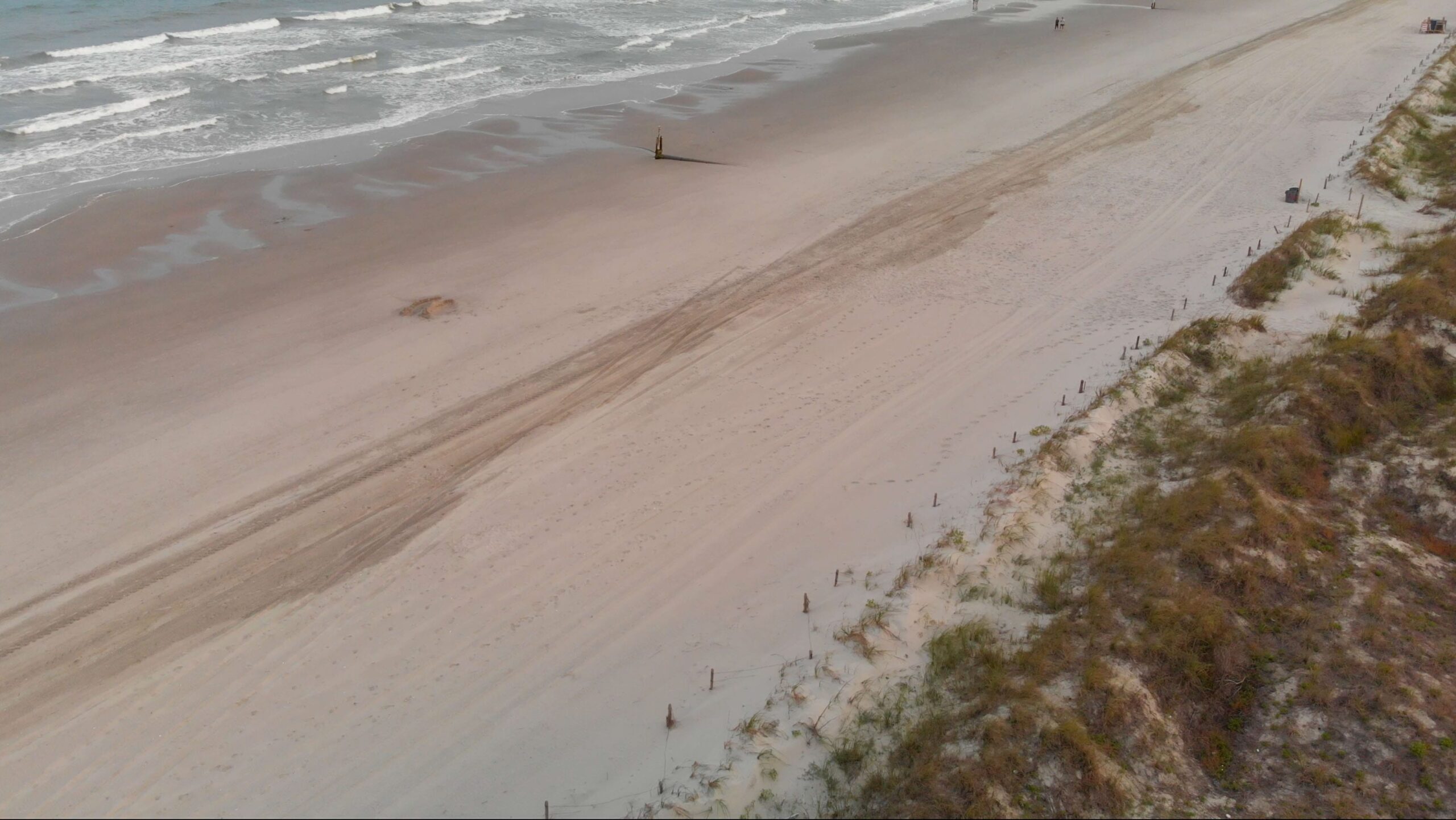 Aerial view of beach and dune