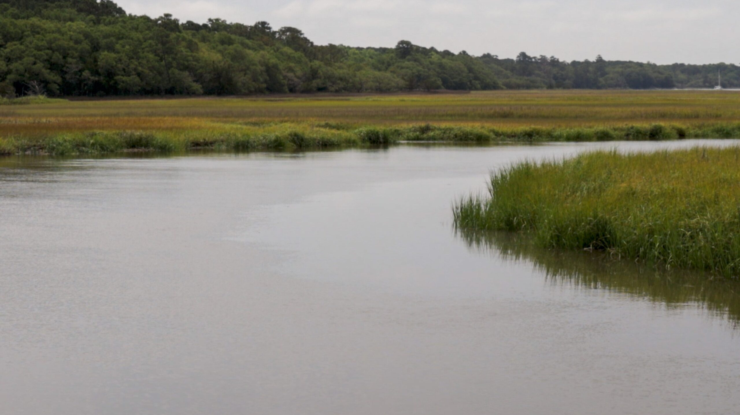 Creek flowing through Salt Marsh