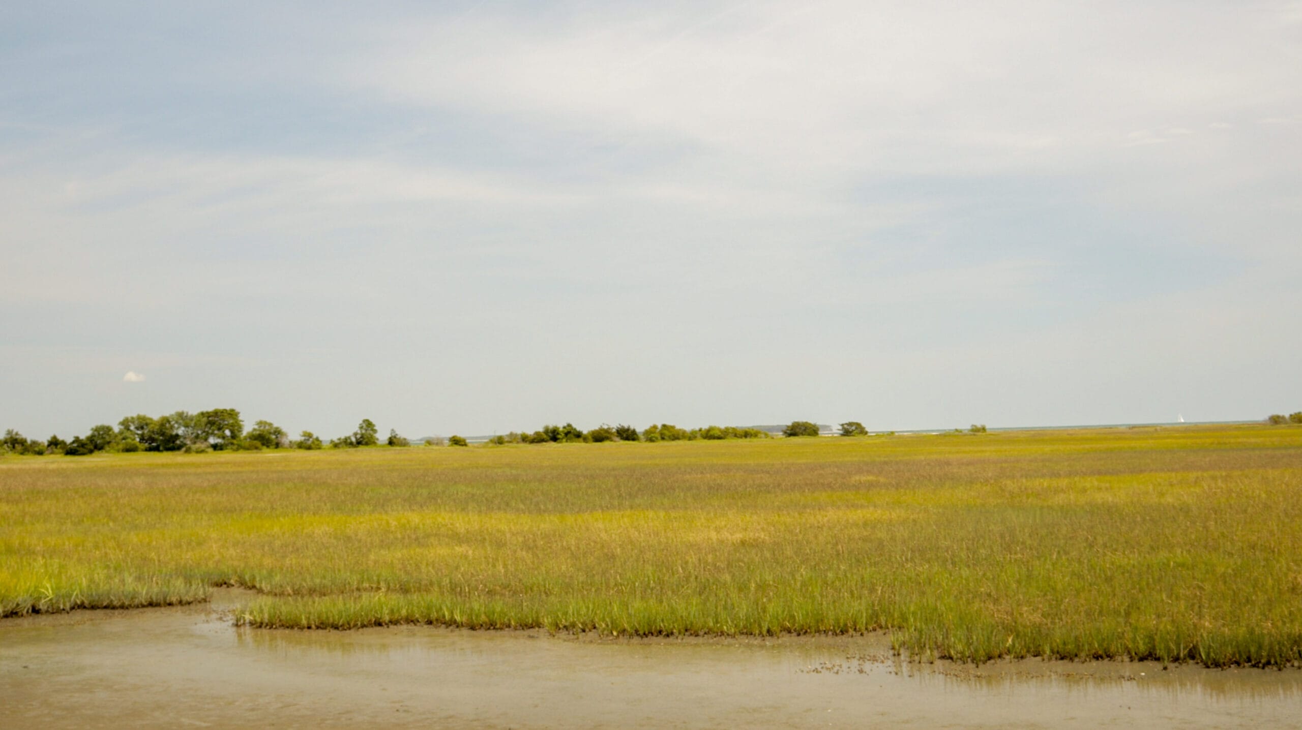 View of the salt marsh in Mitchelville, SC
