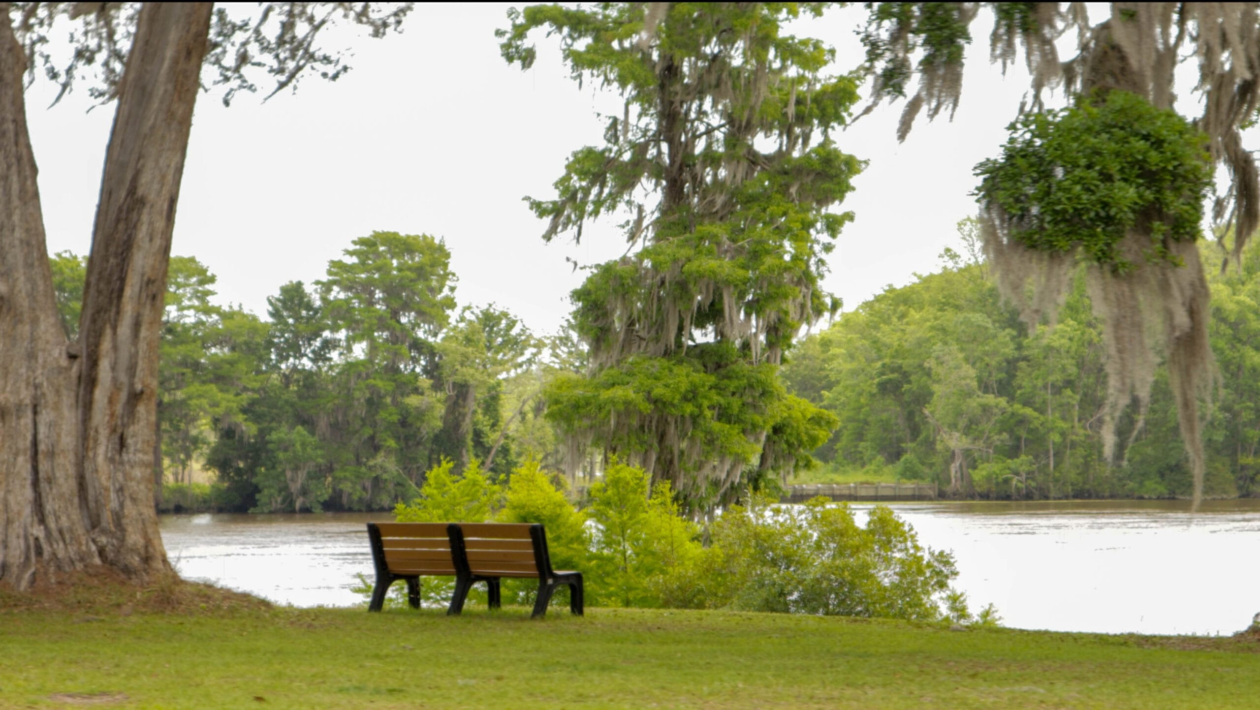 Bench on the bank of the river